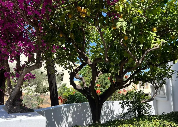 Villa Aliki Piskopiano Hersonissos (Crete)