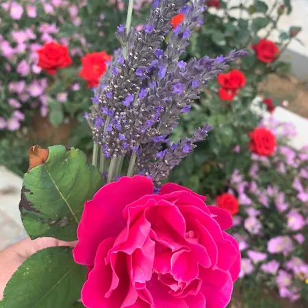 Aliki Piskopiano Villa Hersonissos (Crete)