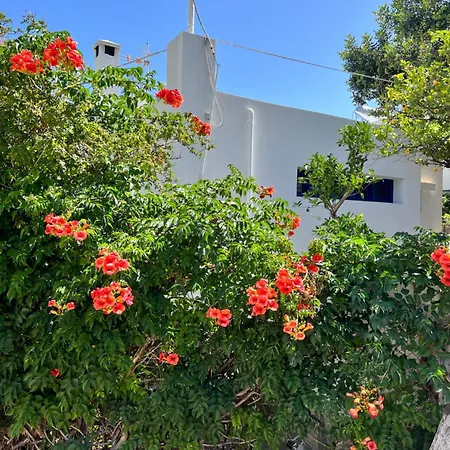 Aliki Piskopiano * Hersonissos (Crete)