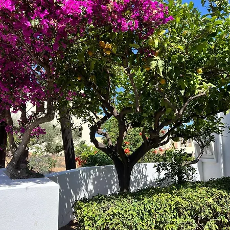 Villa Aliki Piskopiano Hersonissos (Crete)