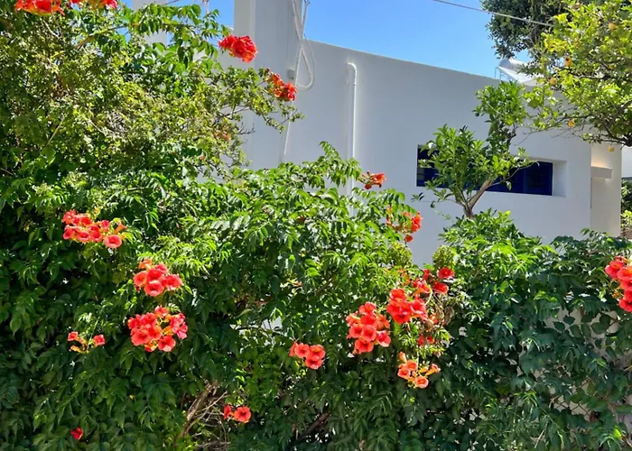 Aliki Piskopiano * Hersonissos (Crete)